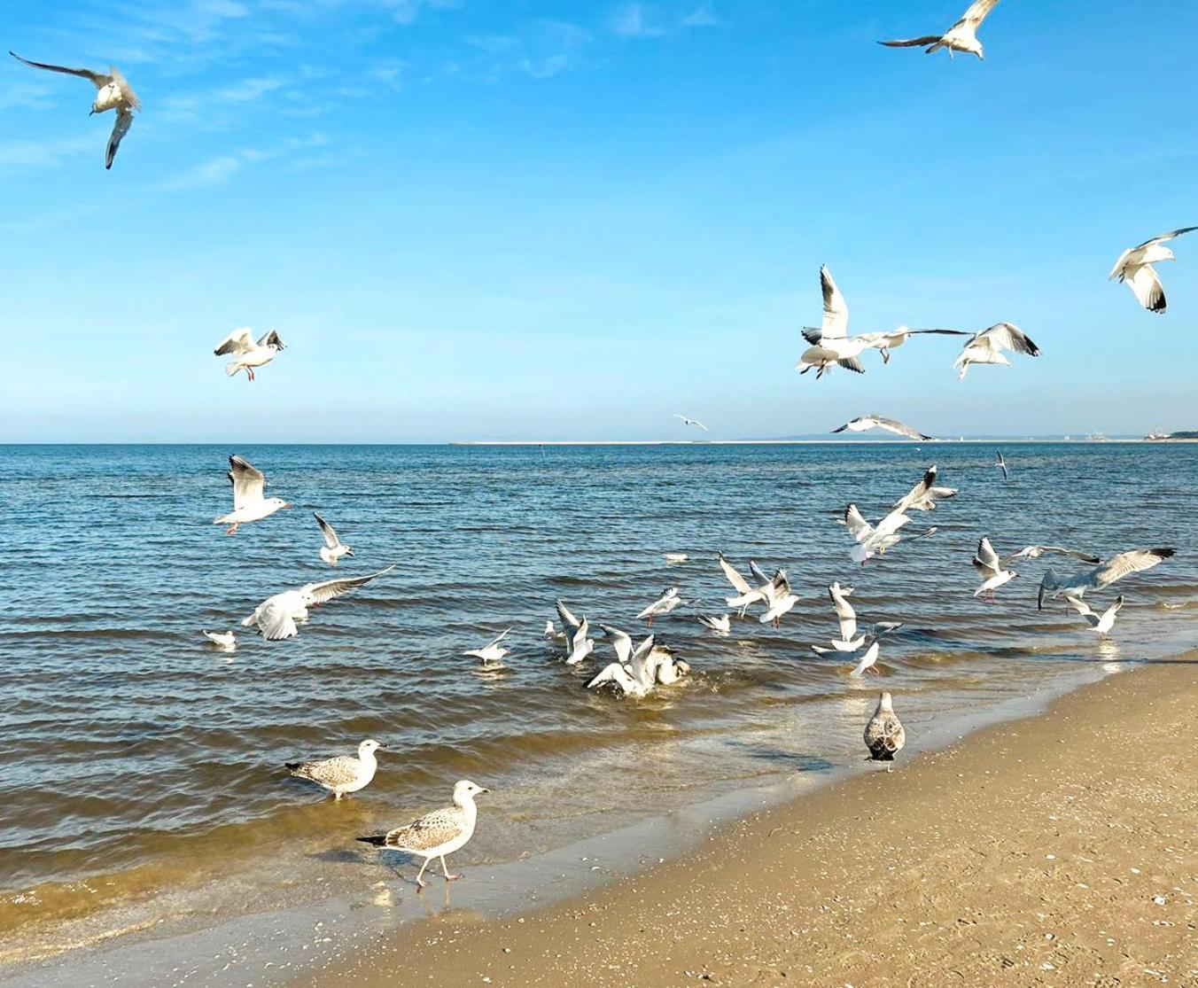 Visit Baltic - Rezydencja Sienkiewicza Rs1.07 Swinoujscie Dış mekan fotoğraf